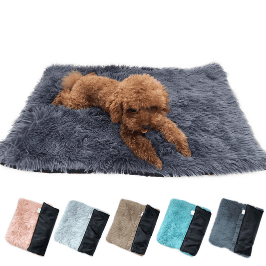 TailEssentials, Pet Accessories
