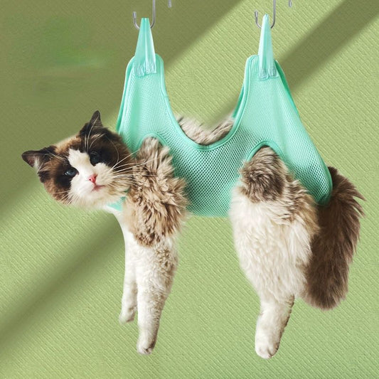 TailEssentials, Pet Accessories