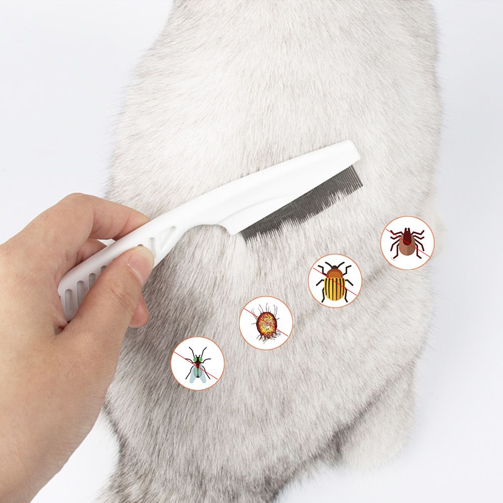 TailEssentials,