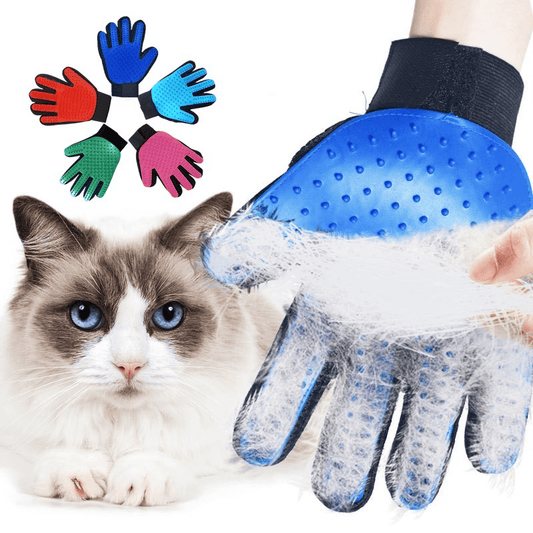TailEssentials, Pet Accessories