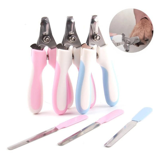 TailEssentials, Pet Accessories