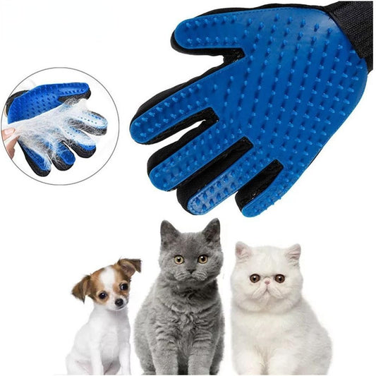 TailEssentials, Pet Accessories