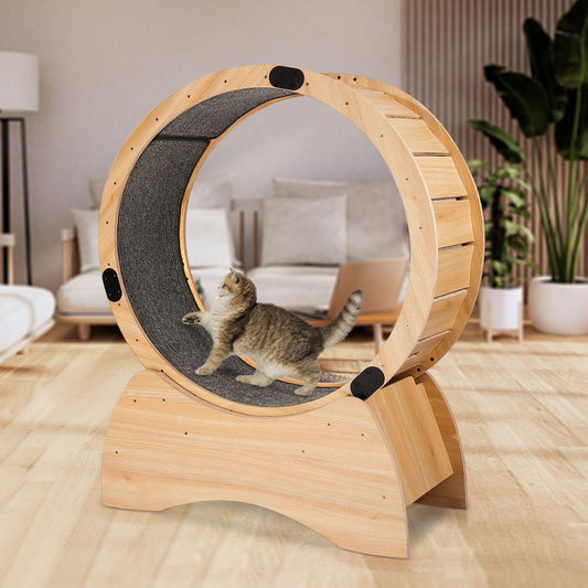 TailEssentials, Cat Exercise Wheel – Running, Spinning, and Scratching Fun, Cat Treadmill with Carpeted Runway, Kitty Cat Sport Toy, Great for Physical Activity and Reducing Boredom