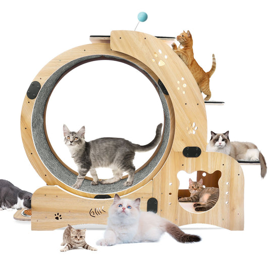 TailEssentials, Cat Wheel 6-in-1 Cat Exercise Wheel,Upgraded Cat Wheel Exerciser for Indoor Cats,Large Cat Treadmill,Cat Running Wheel with Silent Wheel,Cat Walking Wheel Cat Furniture Cat Toys