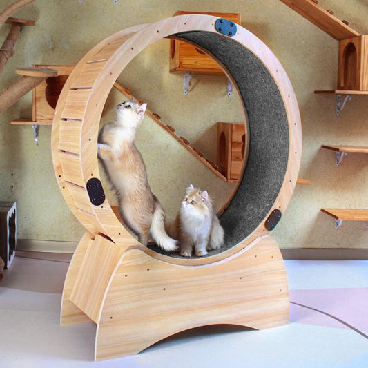 TailEssentials, Cat Exercise Wheel – Running, Spinning, and Scratching Fun, Cat Treadmill with Carpeted Runway, Kitty Cat Sport Toy, Great for Physical Activity and Reducing Boredom