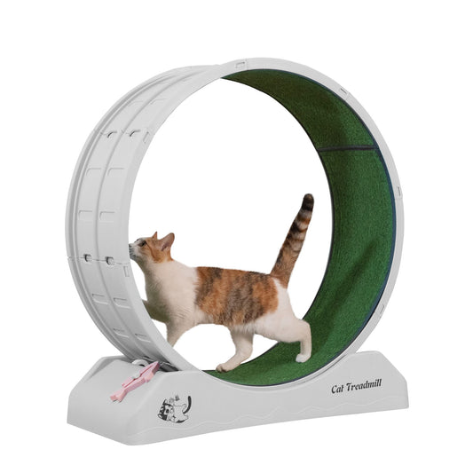 TailEssentials, Cat Running Wheel, Cat Exercise Stylish Treadmill for Indoor Cats, Sturdy Quiet Lightweight Plastic Material, Gray