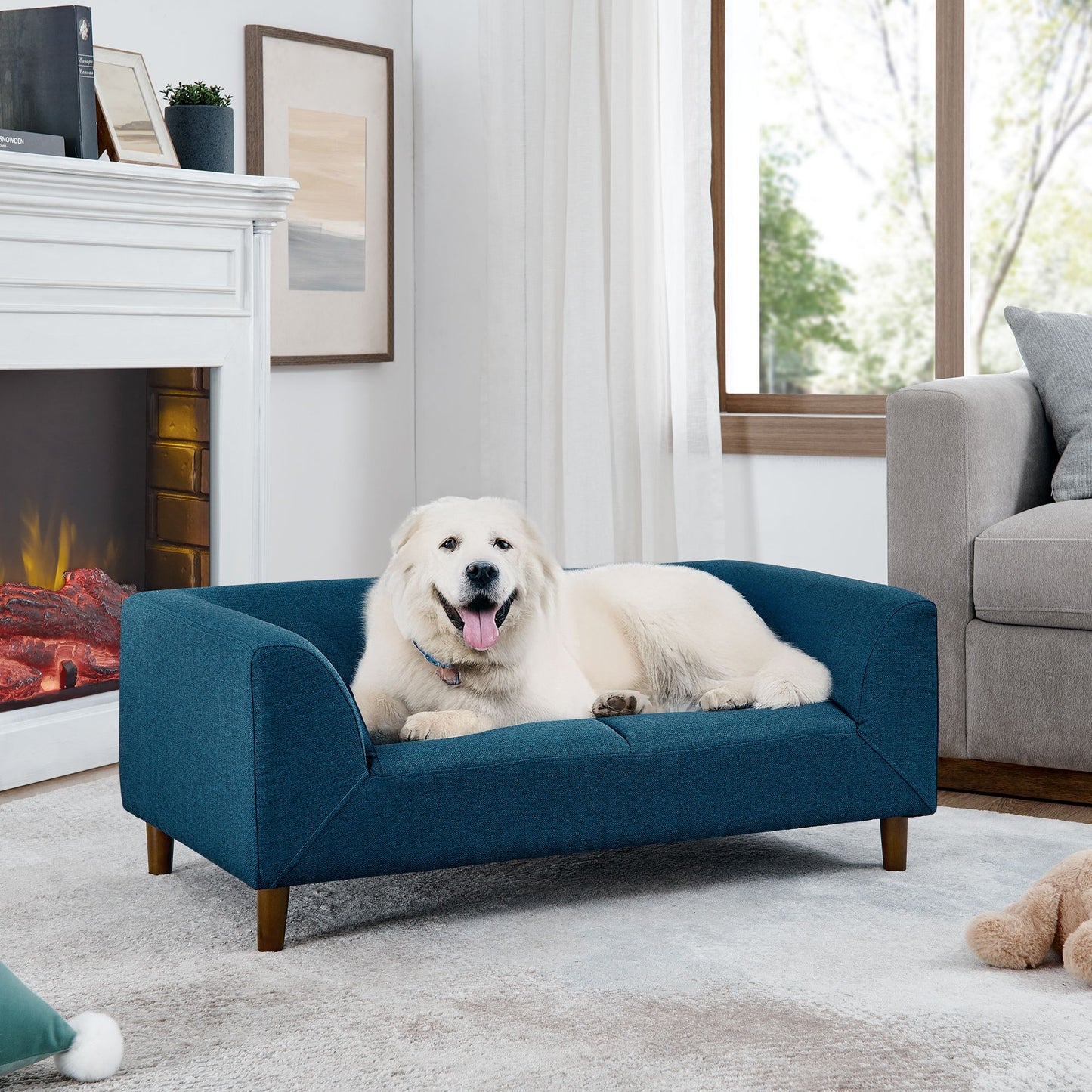 TailEssentials, Sofas & Couches