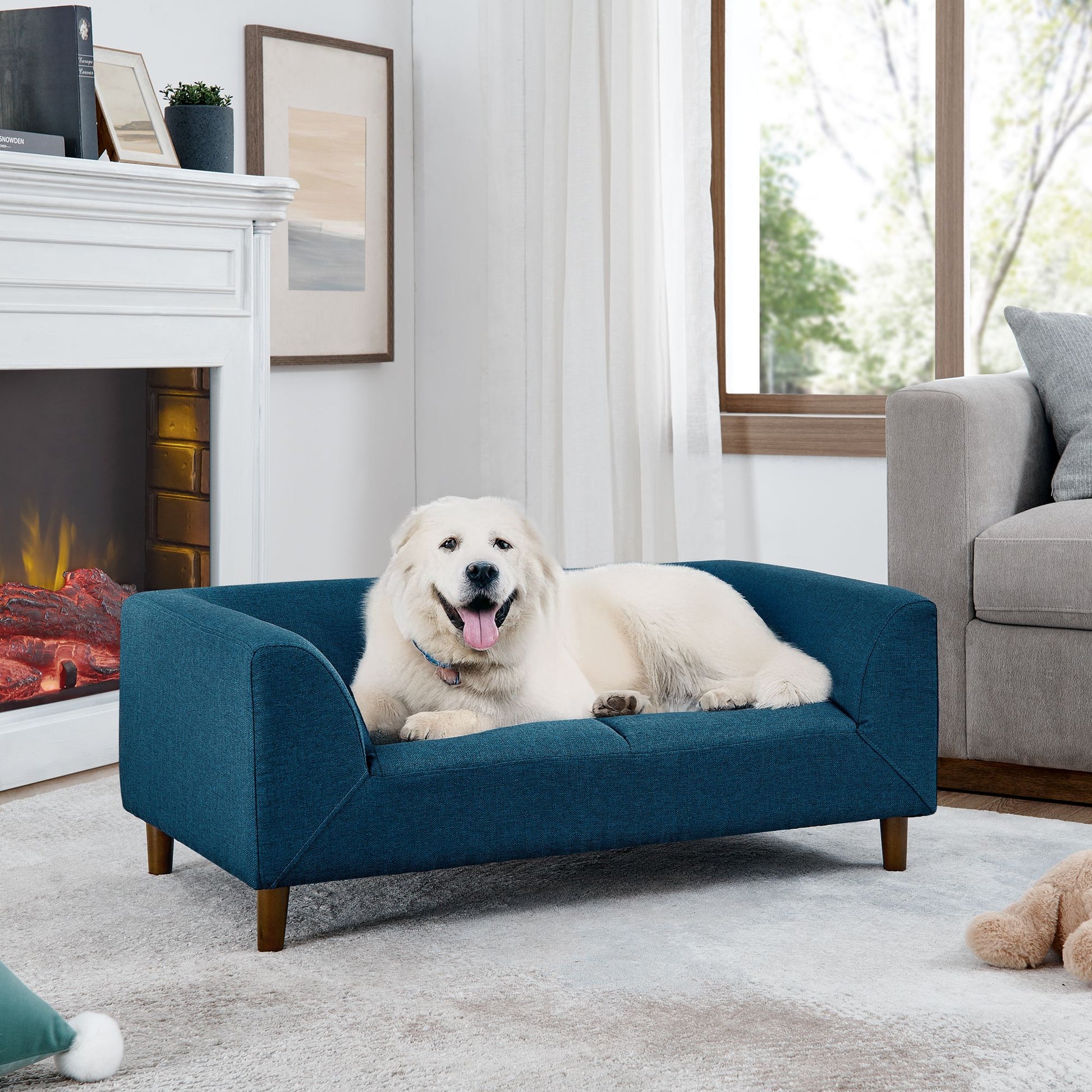 TailEssentials, Sofas & Couches